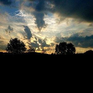 Meet your Posher, Joni